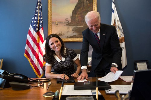 Julia Louis-Dreyfus from Veep