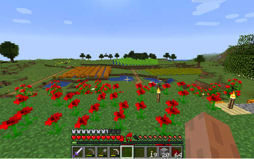 Farm in Minecraft